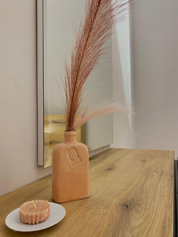 Newly Renovated One Bedroom Apartment In טיראנה מראה חיצוני תמונה